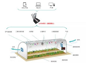 一人掌控千亩良田 LoRa物联网技术如何重塑智慧农业新格局