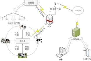 浅谈农业物联网 数字化浪潮下的智慧田野